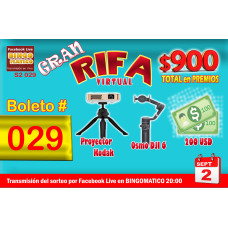 Boleto 029